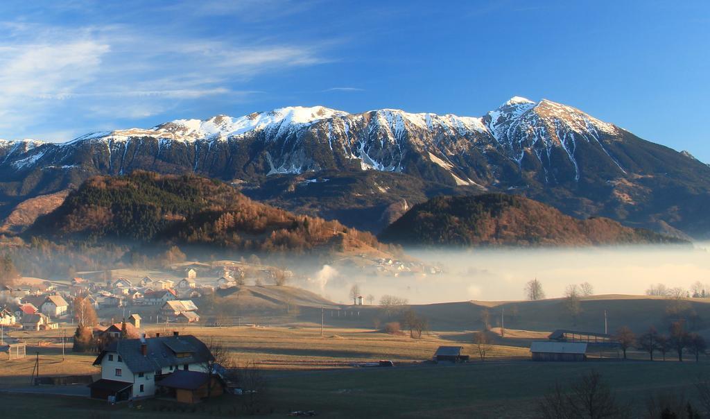 Apartment Natur Bled Oda fotoğraf
