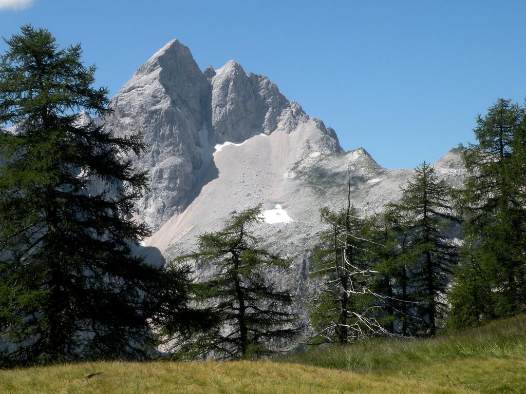 Apartment Natur Bled Oda fotoğraf